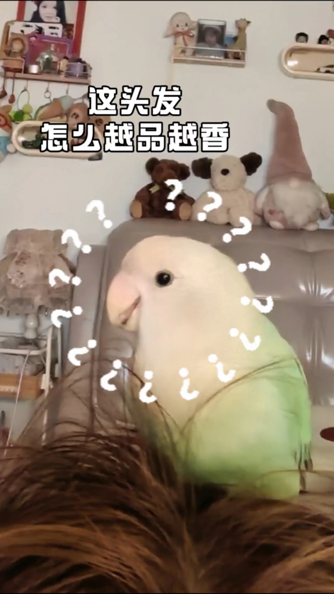 人的头发确实有点美味了～