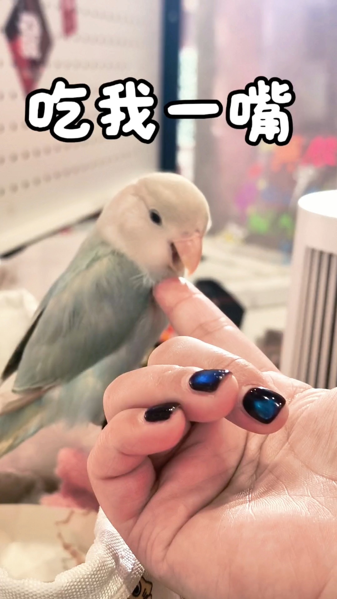 带叽上班咯～