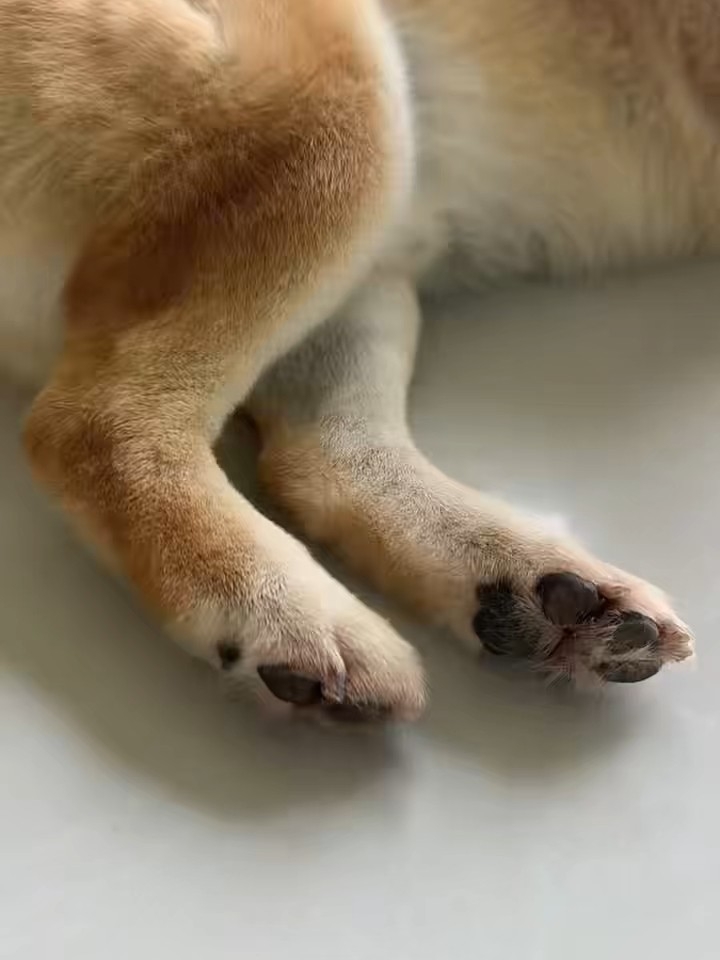 特写篇