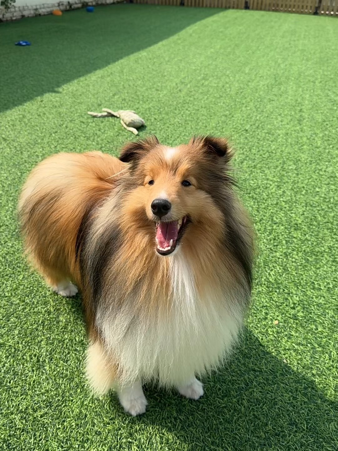 新到的男模