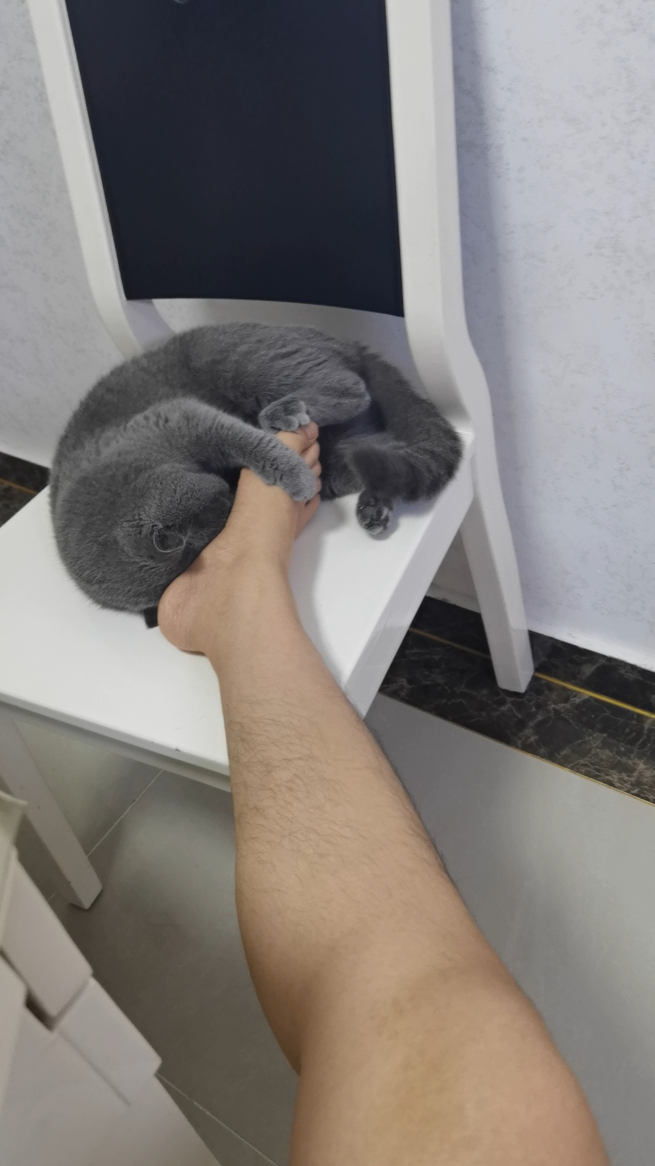 260722 妹猪