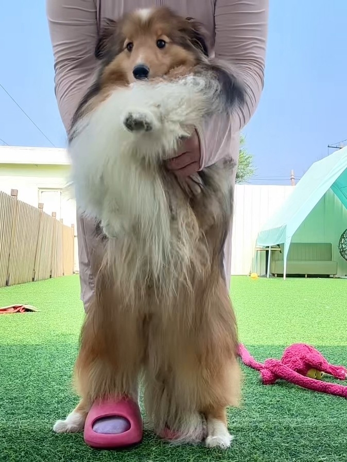 跳个舞吧