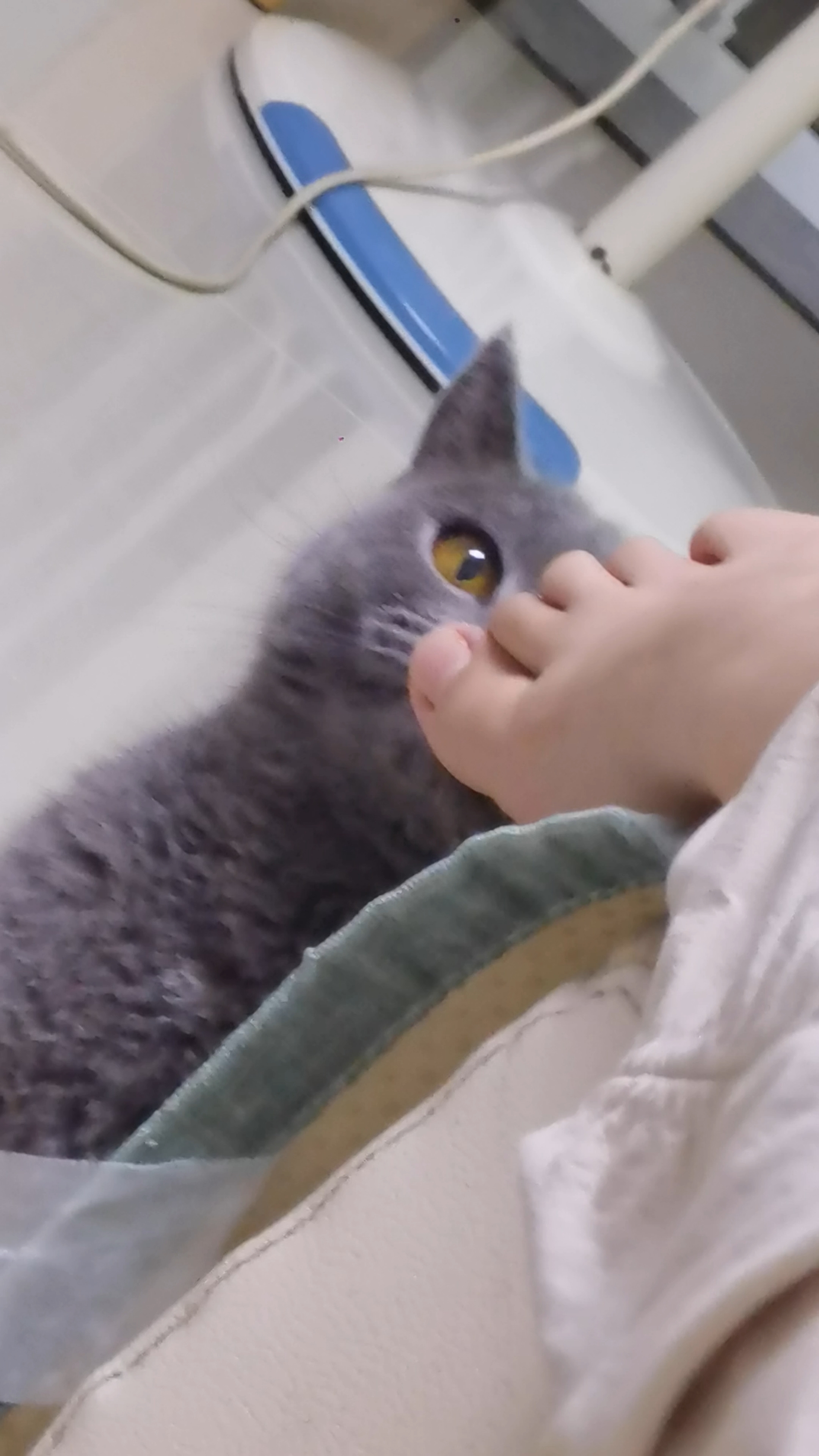 260803 妹猪闻脚