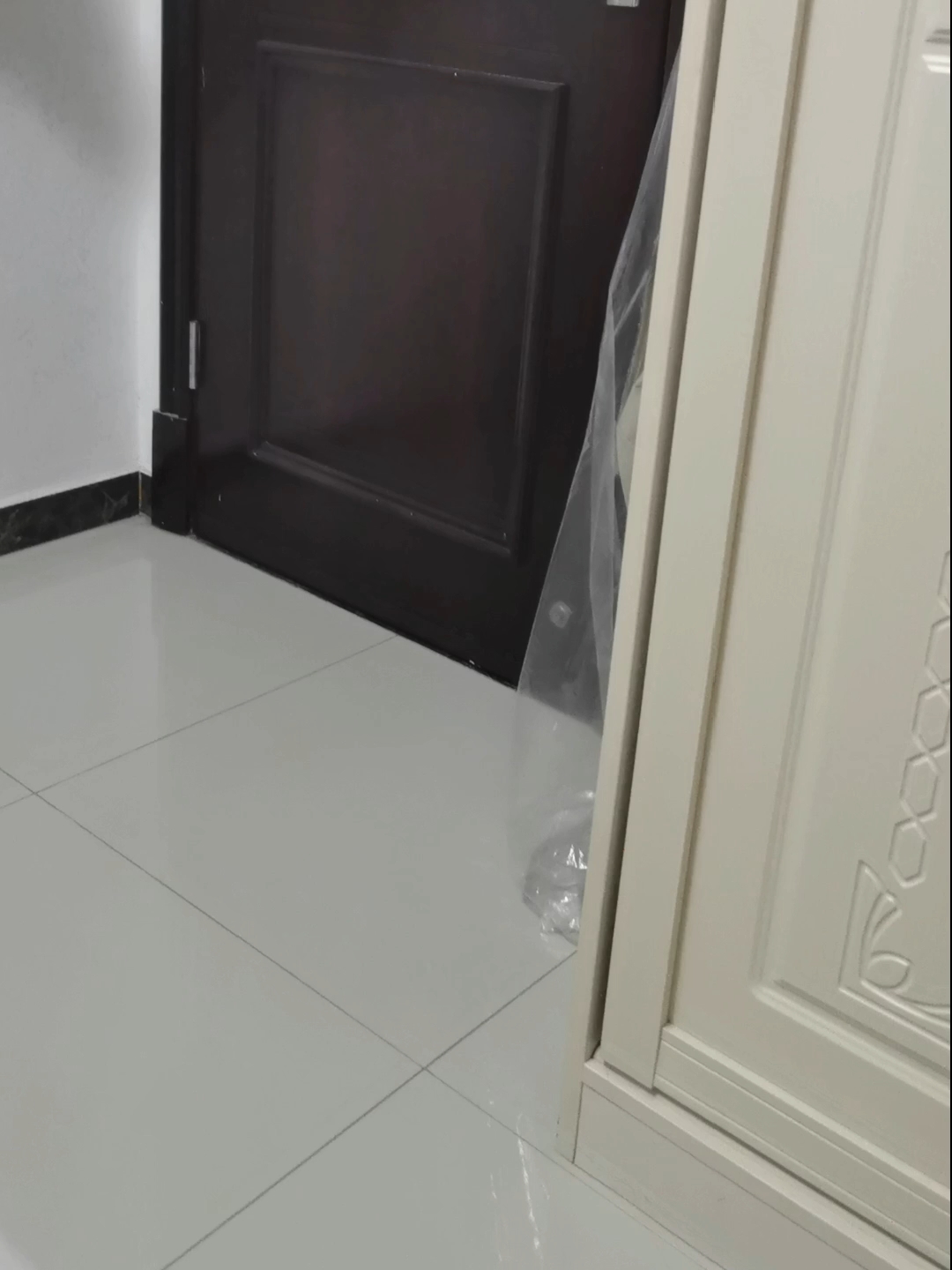 260802 妹猪