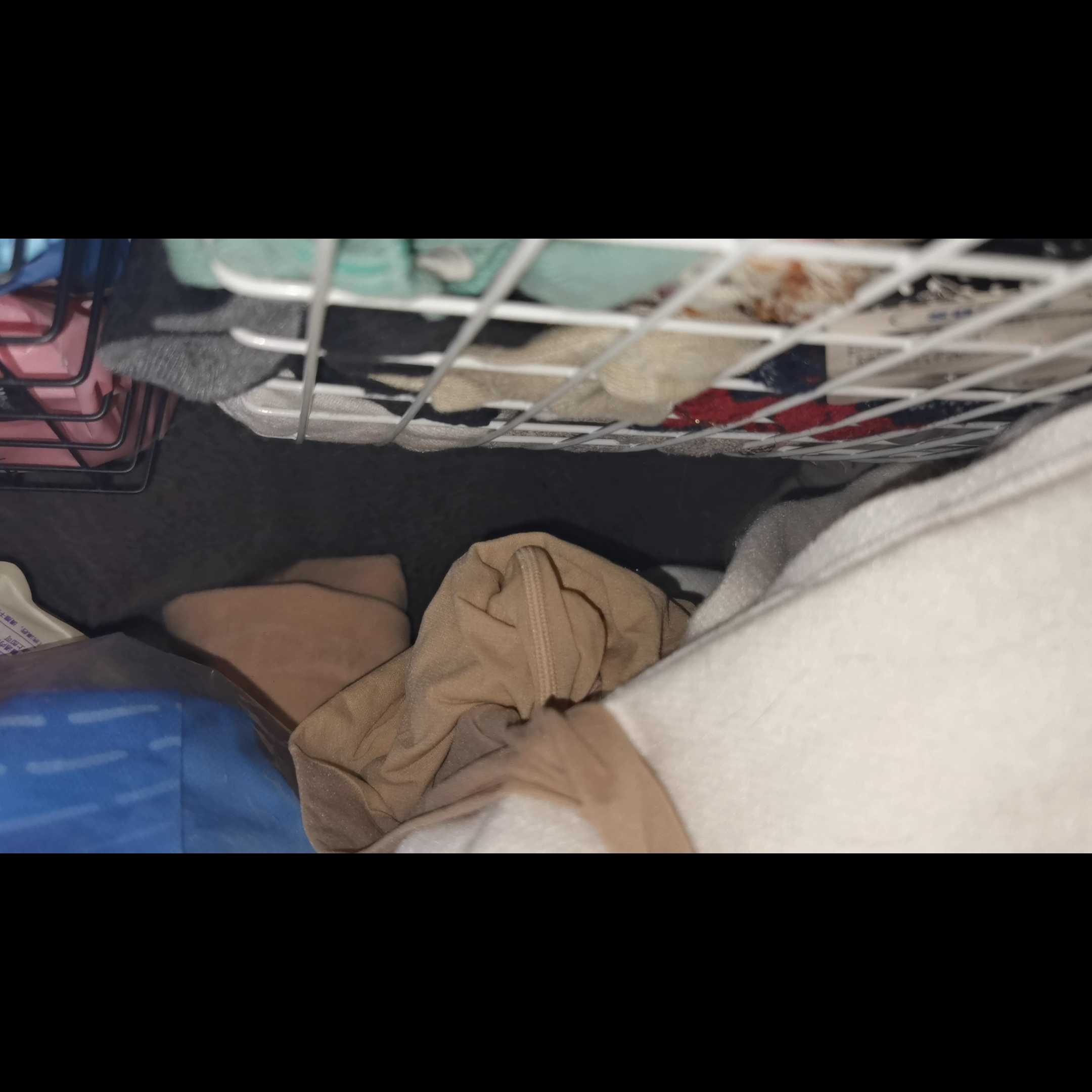 260802 妹猪