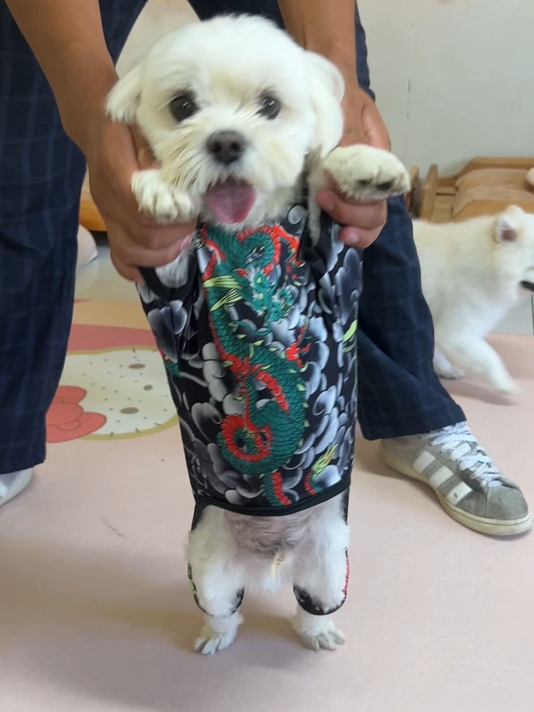 非得跳个舞吗