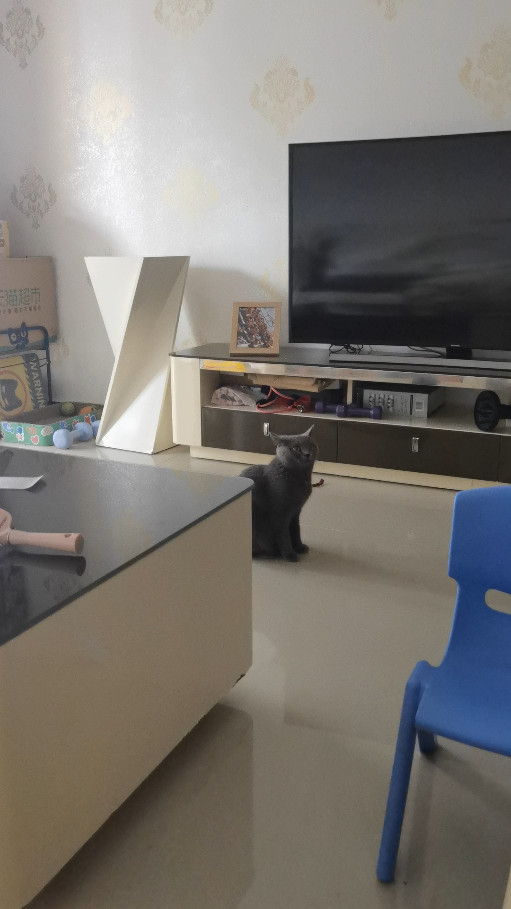 260814妹猪