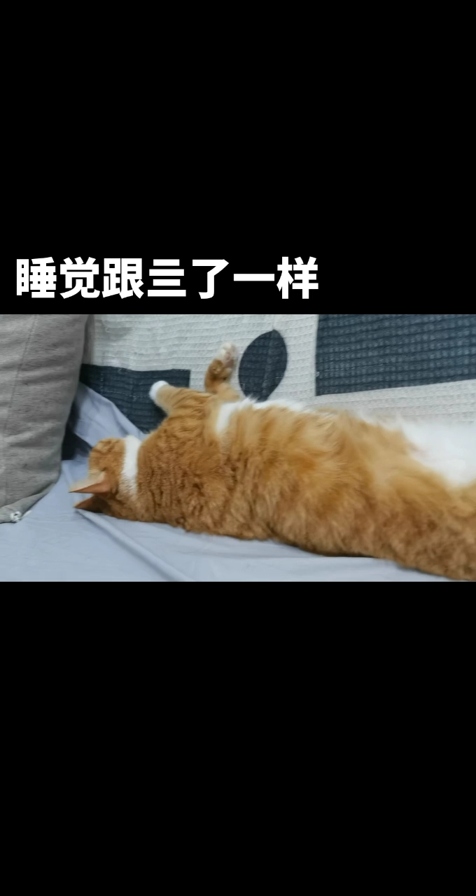 谁都别睡