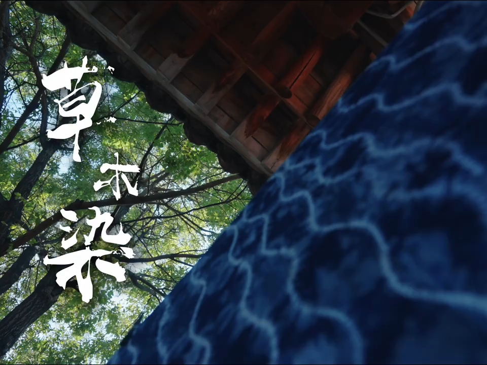 山西非遗巡礼之天然染工艺：慢的艺术｜ 草木染这门手艺，原料来自植物的根、茎、叶、花、果。板蓝根的茎叶泡出靛蓝，黑豆、紫甘蓝、槐米、苏木、桑果、葡萄皮都能入染，加上调配能做出上百种颜色。 · 但它真正的核心，是“慢”。 · 从采集、萃取、过滤到染色，十几道工序。染一块布，要反复浸染七八次，每一次捞出都是青绿色，在空气里氧化几十秒才慢慢转成蓝——像什么东西被唤醒了。为了明年能用上“柿子黄”，今年秋天就...
