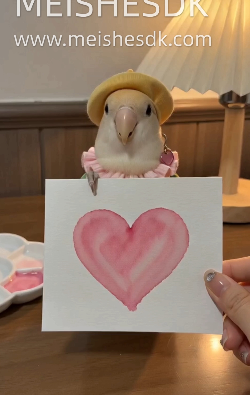 小叽宝宝给姨姨们发射爱心啦❤️