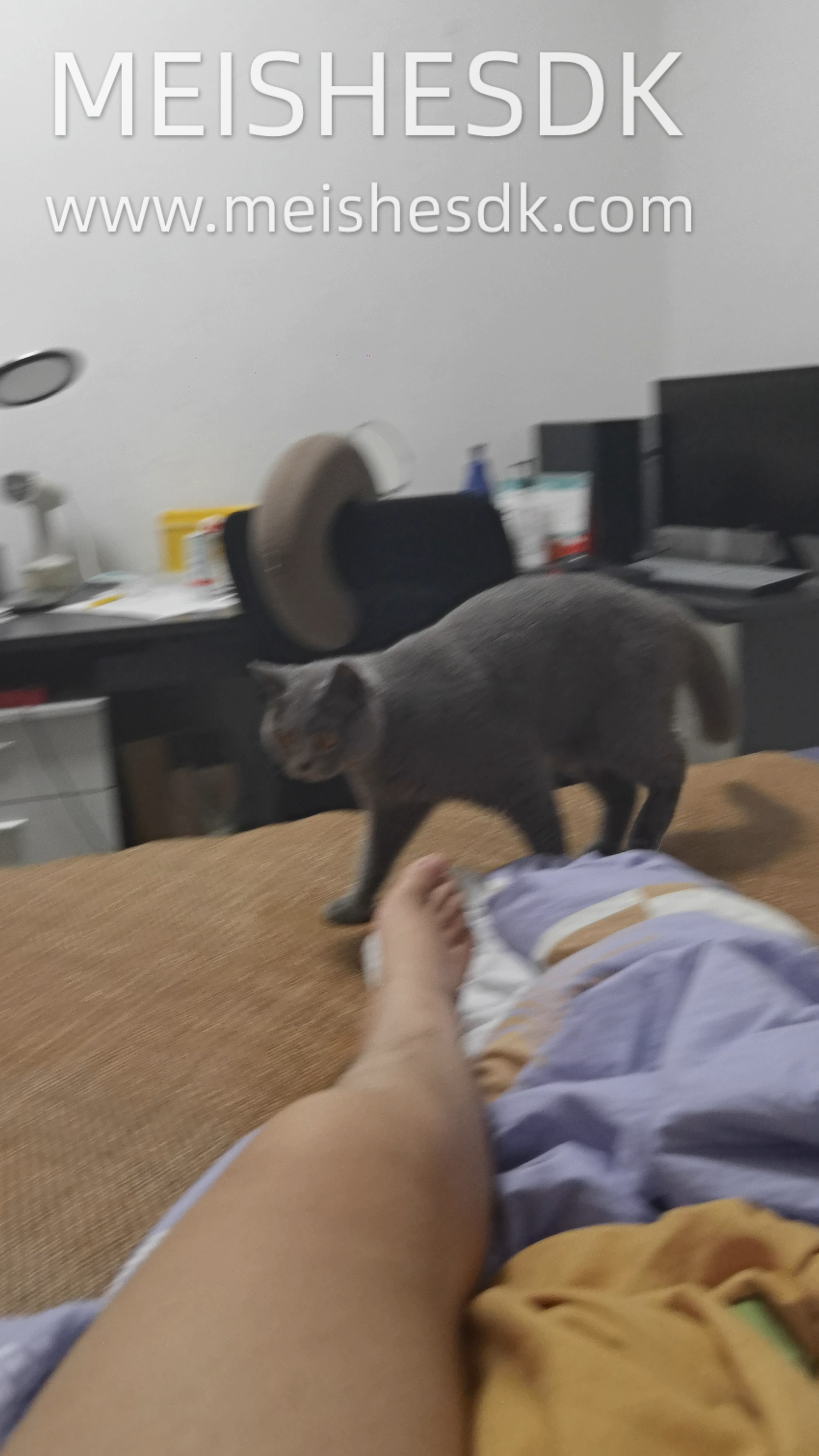 260907 妹猪