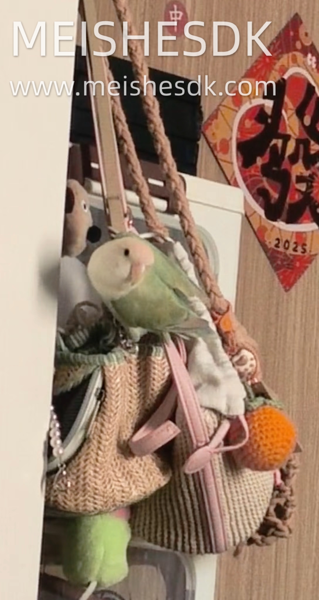 小鸡也是进入叛逆期了……