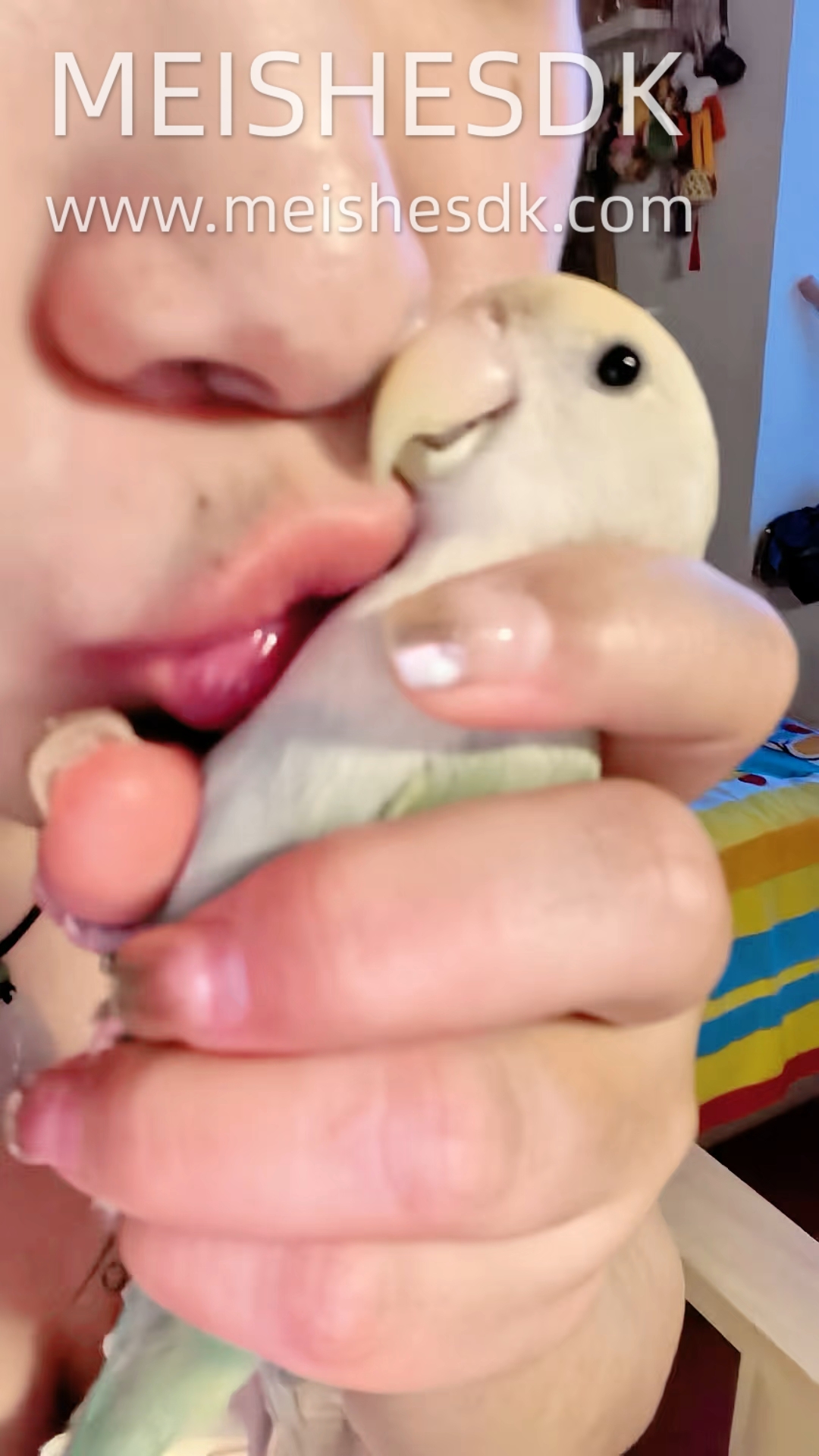 吸吸香香软软的小鸟