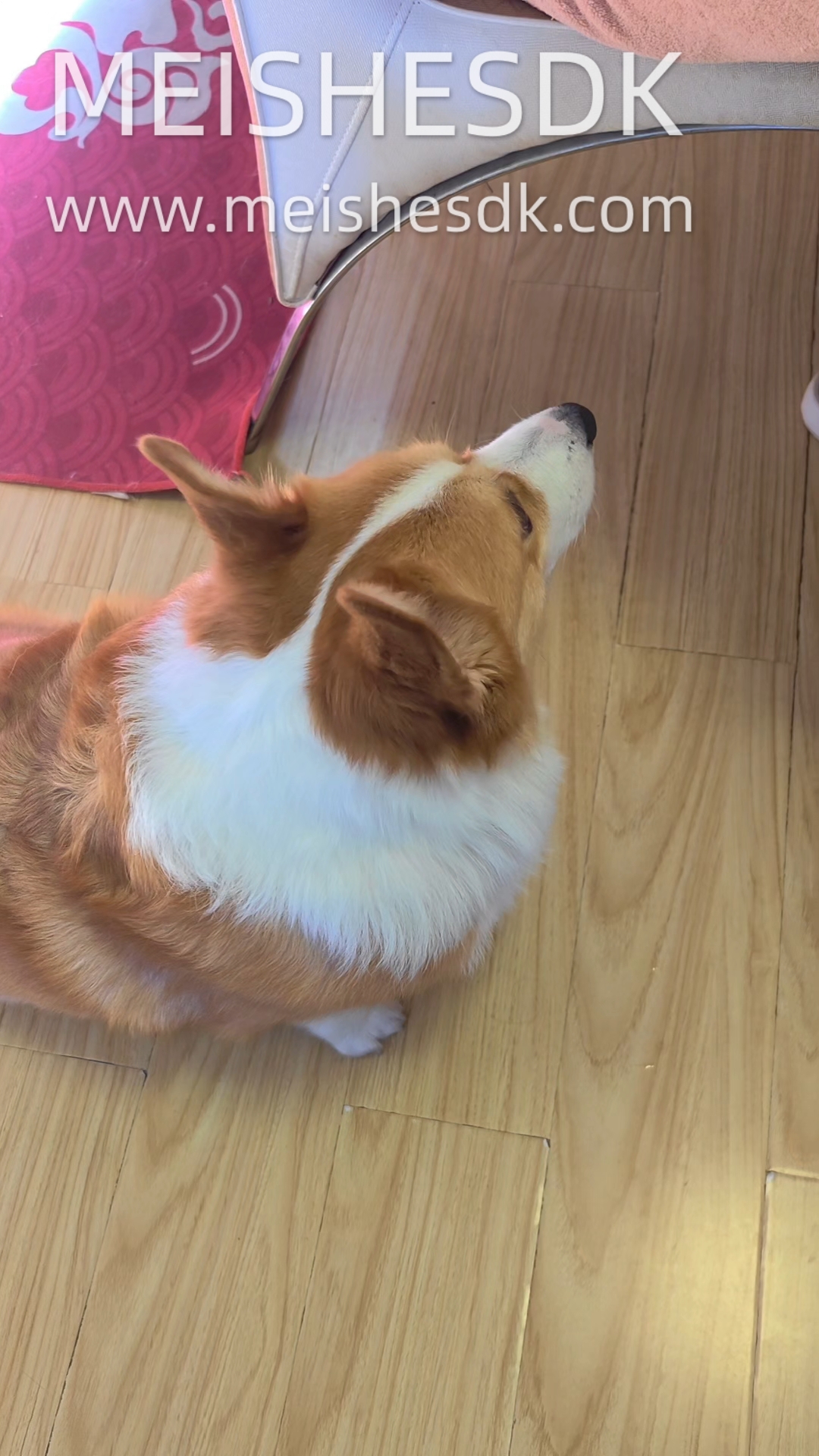 会点头？