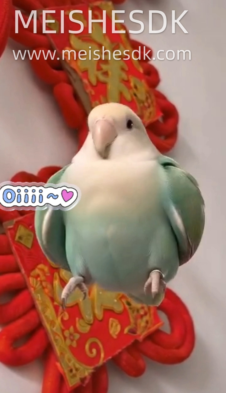 又是可爱到膨胀的一天～
