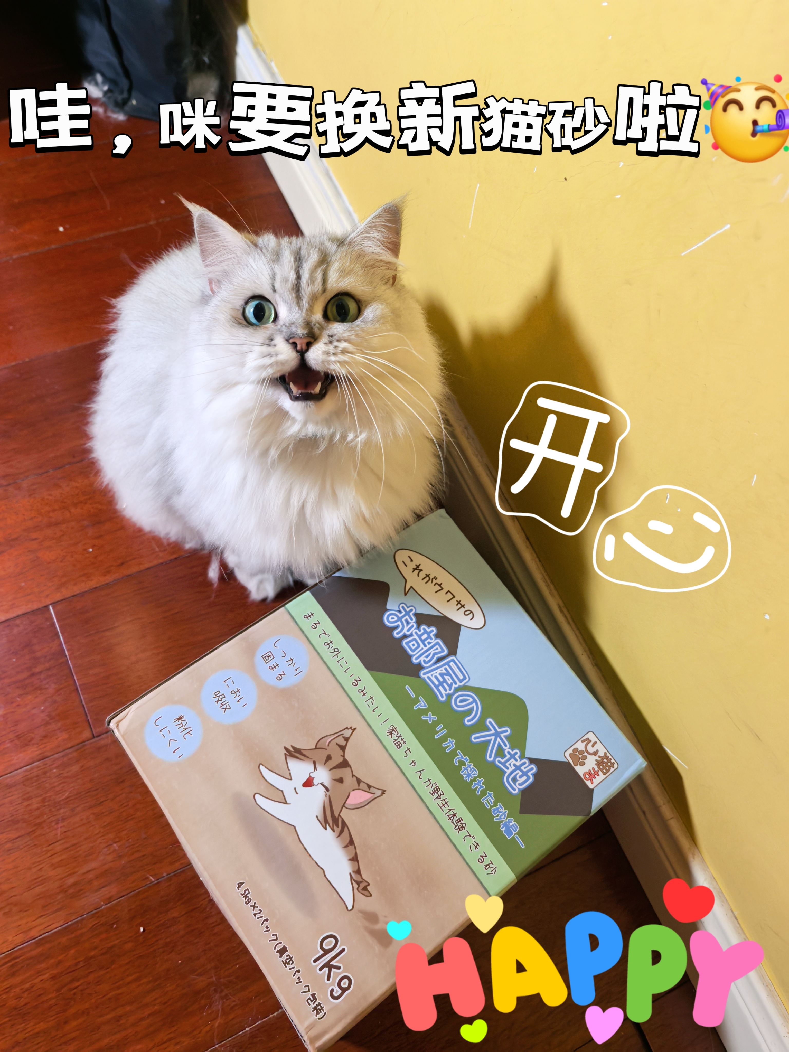 咪用上脚感超舒适的新猫砂啦✨