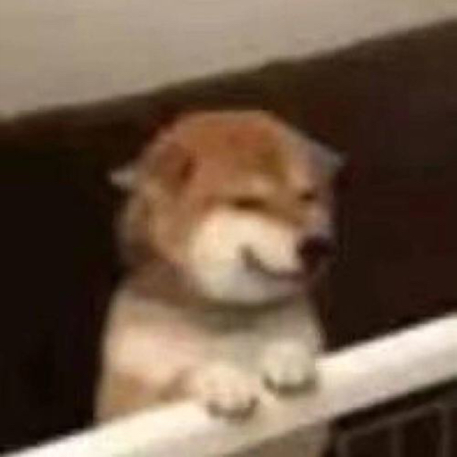 评论