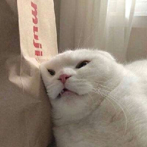 评论