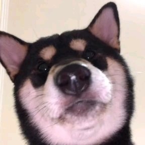 评论